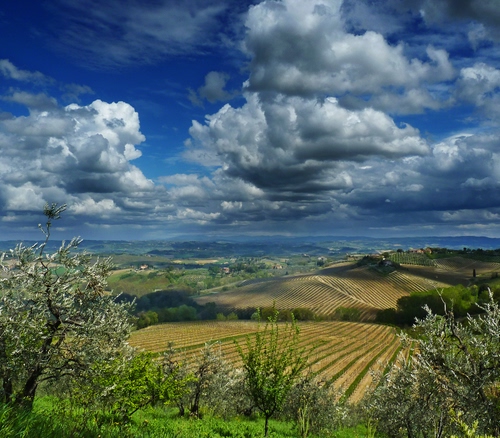 Immagine con nuvole, panorama, colline, paesaggio, campi, cielo, campagna, piante, alberi, filari