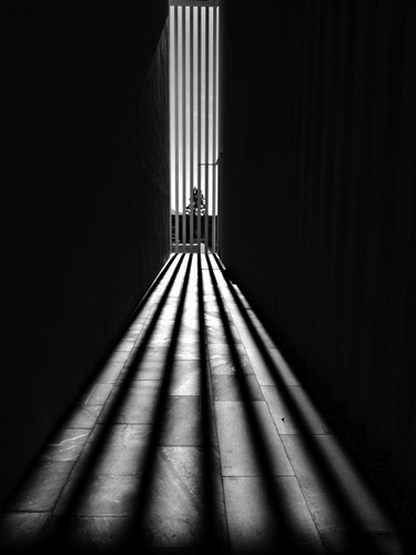 Immagine con ombre, luce, nero, bianconero, pavimento, albero, bianco, linee, strisce, righe, prospettiva, sbarre, corridoio, inferriata