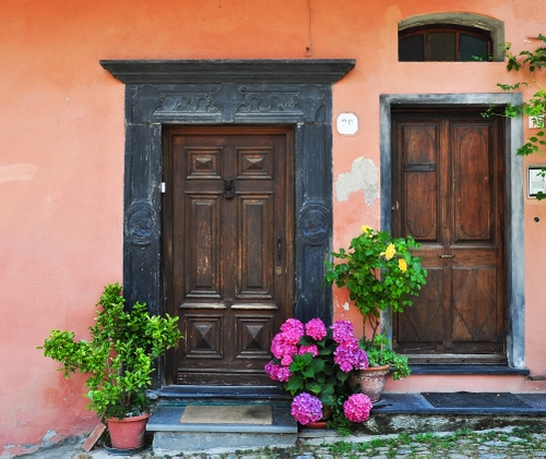 Immagine con vasi, fiori, porte, legno, piante, verde, rosa, due, ortensie, gradini, zerbino, scalini, porta, casa