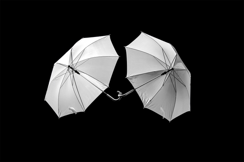 Immagine con ombrelli, manici, due, nero, bianconero, stecche, bianco