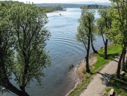 Immagine con alberi, fiume, acqua, verde, strada, onde, panchina, foglie, paesaggio