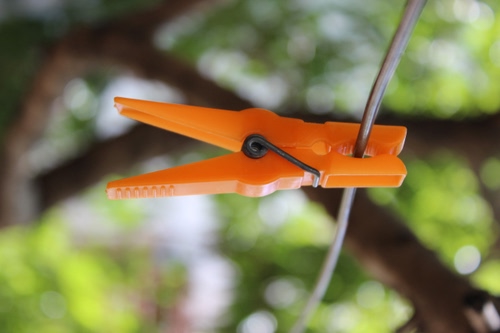 Immagine con molletta, filo, verde, arancione, rami, sfocato, arancio, marrone, ferro, sfondo, metallo, bucato, foglie, ramo, albero, plastica