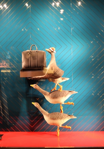 Immagine con borsa, vetrina, oche, rosso, tre, azzurro, uccelli, riflesso