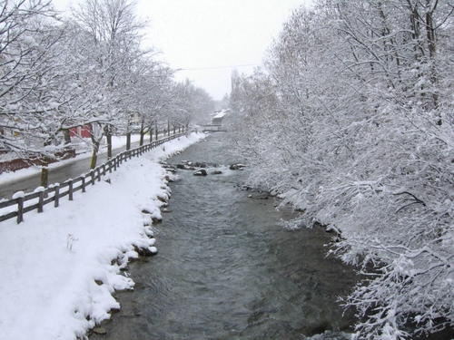 Immagine con neve, inverno, alberi, acqua, fiume, bianco, torrente, steccato, staccionata