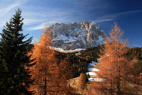 Immagine con montagna, alberi, neve, cielo, autunno, larici, cima, panorama, abeti