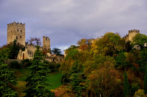 Immagine con castello, alberi, torre, merli, verde, cielo, bosco
