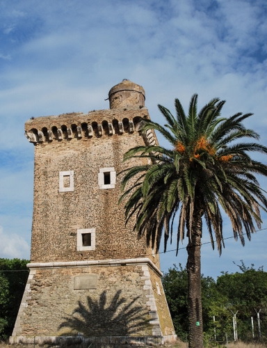 Immagine con torre, palma, ombra, finestre, cielo, albero, nuvole, alberi