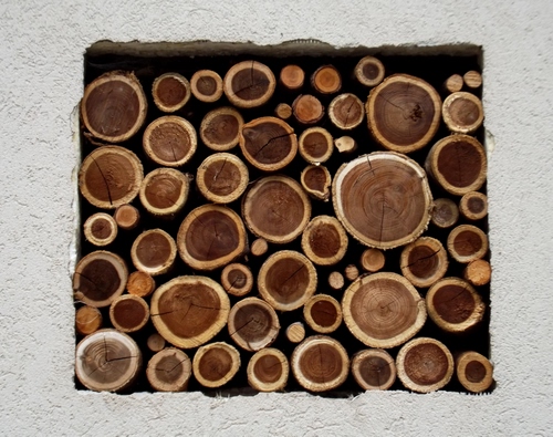 Immagine con legna, tronchi, legno, cerchi, quadrato, tondi, ceppi, tagliati, muro, ordine