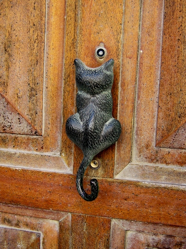 Immagine con porta, batacchio, gatto, legno, coda, spioncino, metallo, orecchie, marrone, battiporta