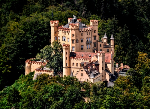 Immagine con castello, torri, merli, alberi, bosco, verde, finestre, rosa