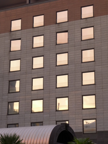 Immagine con finestre, palazzo, riflessi, quadrati, vetri, riflesso, verde, muro, grigio, vetro, specchi, facciata, piante, alberi