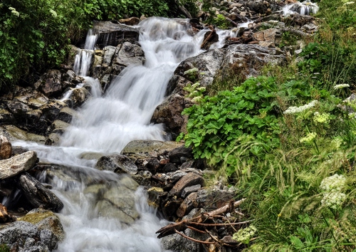 Immagine con verde, acqua, cascata, rocce, erba, fiori, ruscello, bianco, piante, torrente, natura, rami, cespugli, pietre, foglie, fiume, sassi