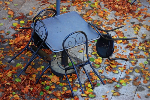Immagine con foglie, sedie, tavolo, autunno, ferro, tavolino, quattro