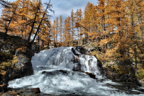 Immagine con alberi, cascata, acqua, rocce, fiume, autunno, torrente, larici, bosco