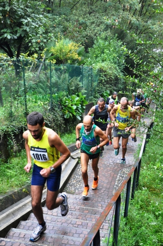 Immagine con atleti, alberi, corsa, sport, scalinata, salita, piante, scale, scalini, podisti, verde, scala, sportivi