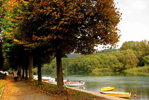 Immagine con fiume, alberi, barche, acqua, autunno, viale, foglie, verde