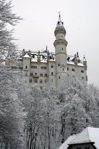 Immagine con neve, inverno, castello, alberi, torre, bianco