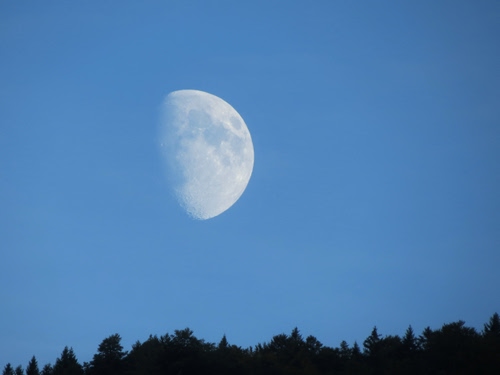 Immagine con cielo, luna, alberi, azzurro, bianco, crateri, verde, satellite