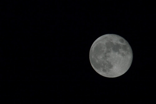 Immagine con luna, nero, notte, crateri, sfera, cielo, bianconero, pianeta, cerchio, bianco