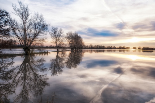 Immagine con acqua, alberi, nuvole, riflessi, riflesso, cielo, lago, rami, tramonto, piante