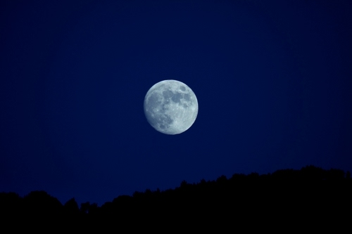 Immagine con luna, cielo, notte, blu, satellite, crateri, nero, piena