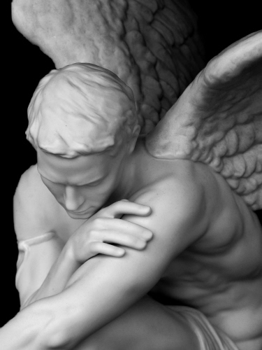 Immagine con angelo, marmo, ali, bianco, statua, scultura, mano, nero, bianconero