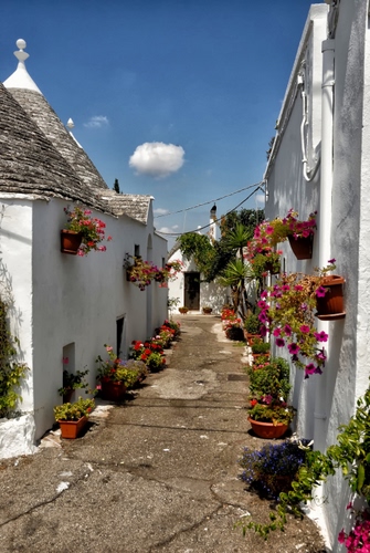 Immagine con trulli, fiori, vicolo, bianco, alberobello, puglia, gerani, cielo, vasi