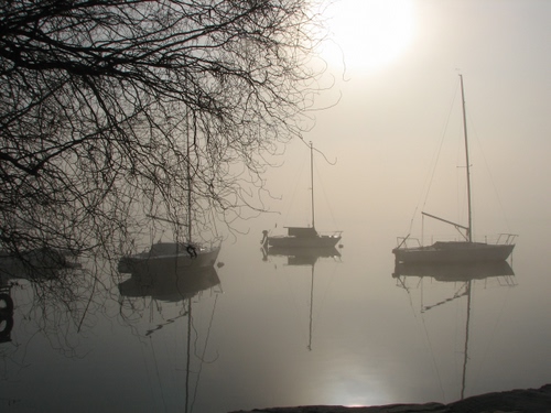 Immagine con barche, albero, nebbia, rami, riflessi, riflesso, lago, controluce, sole, acqua, cielo, alberi