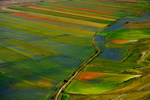 Immagine con strada, verde, campi, panorama, colori, campo, prato, rosso, terreno