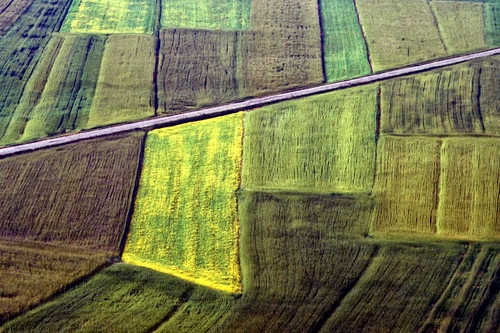 Immagine con campi, verde, strada, coltivazioni, geometrico, campagna, astratto, geometrie, giallo