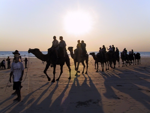 Immagine con cammelli, mare, carovana, ombre, sabbia, spiaggia, deserto, persone, ombra, controluce, tramonto, sole