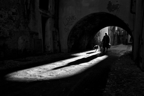Immagine con cane, arco, ombre, bianconero, uomo, ombra, passante, via, persona