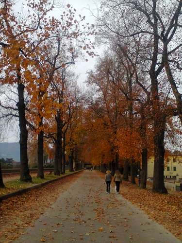 Immagine con autunno, alberi, viale, foglie, passanti, strada, persone, due