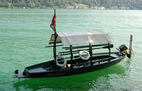 Immagine con bandiera, acqua, barca, salvagente, verde, motore, lago, palo, telo, tipica, riflesso, legno, mare, uccello