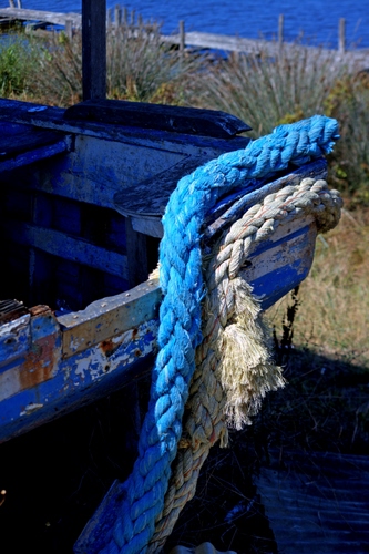 Immagine con barca, corde, azzurro, bianco, blu, corda, mare, erba