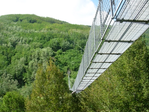 Immagine con ponte, verde, alberi, sospeso, bosco, passerella, montagna, rete, piante, ferro