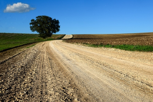 Immagine con strada, albero, cielo, nuvola, campagna, campi, campo, curva, verde, terra