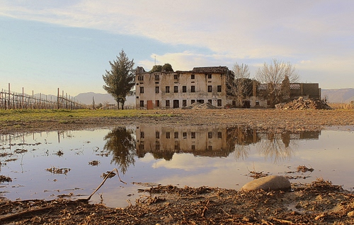 Immagine con riflesso, pozzanghera, albero, acqua, rudere, alberi, casa, vigneto, riflessi