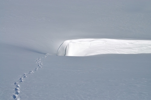 Immagine con bianco, neve, orme, inverno, tracce, impronte, avvallamento, minimalismo