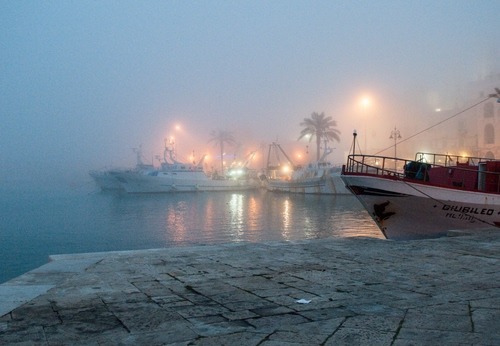 Immagine con nebbia, porto, luci, mare, navi, barche, acqua