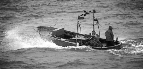 Immagine con barca, mare, pescatore, onde, bianconero, acqua, pescatori, pesca, onda