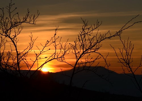 Immagine con tramonto, rami, rosso, sole, controluce, montagne, alba, cielo, alberi, arancio
