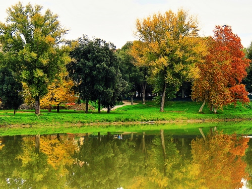 Immagine con autunno, alberi, acqua, lago, riflesso, riflessi, parco, verde