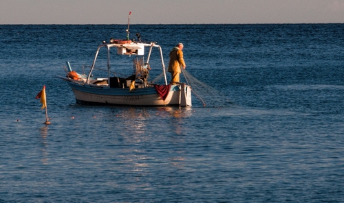 Immagine con mare, barca, rete, pescare, pescatore, acqua, pesca, reti