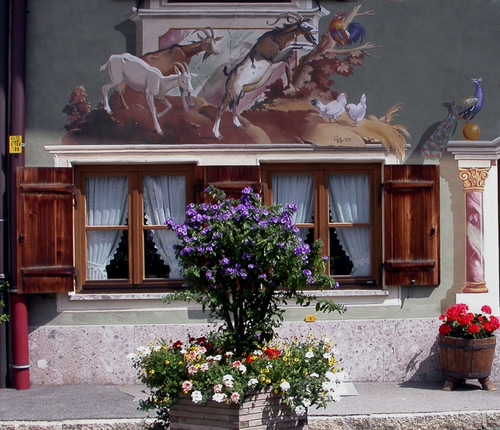 Immagine con finestre, fiori, due, murales, tendine, finestra, piante, tende, vasi, dipinto, pianta