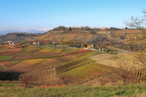 Immagine con campagna, verde, case, alberi, vigneti, panorama, strada, colline, cielo, collina, filari, paesaggio, coltivazioni, erba, natura, campi, vigneto, paese, montagne