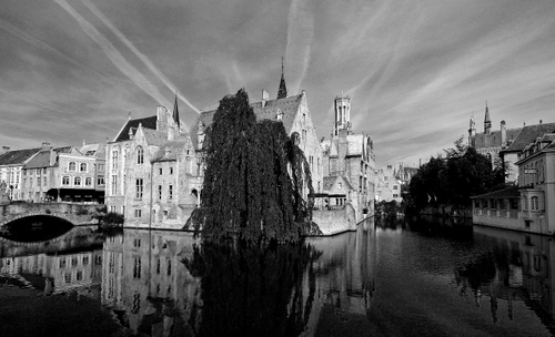 Immagine con bianconero, ponte, riflesso, fiume, acqua, albero, riflessi, case