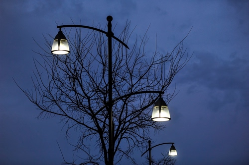 Immagine con lampioni, albero, rami, sera, cielo, luci, luce, blu, tre, lampione