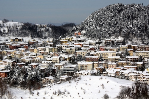 Immagine con case, neve, inverno, alberi, paesaggio, montagna, borgo, paese, bianco, tetti, colline, panorama, cielo, finestre, città