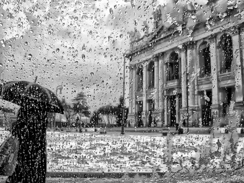 Immagine con gocce, ombrello, pioggia, bianconero, maltempo, vetro, piazza, palazzo